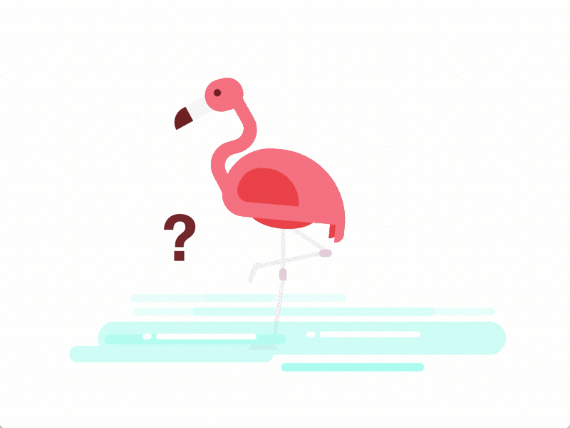 Flamingo