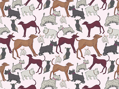 Dog Park dog dog park animals dogs illustration packaging pattern pattern design pets playful scottie scottish terrier surface design