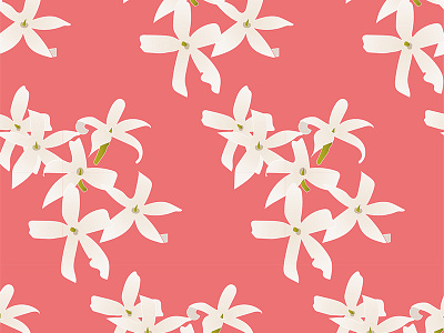 Jasmine pattern design design flower illustration jasmine pattern