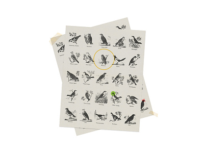 Arthurs Birds arthur atlas birds minimal notes paper realistic teebs