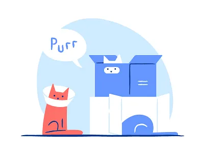 MAU: cat's love to boxes never ends animal box cat cats fun love mau purrr thick