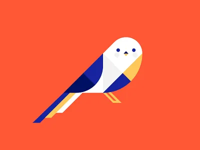 Birdy bird design geometry illustration