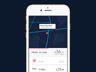 Daily Spending screen app fintech ios iphone map mobile spending ui ux