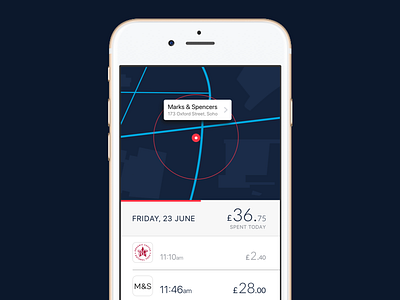 Daily Spending screen app fintech ios iphone map mobile spending ui ux