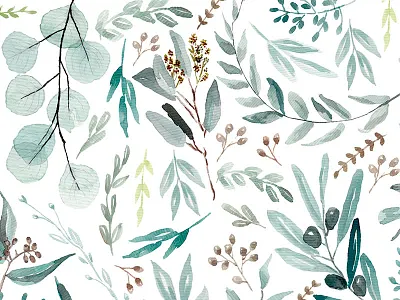 Eucalyptus original watercolor botanic botanical leaves nature pattern watercolor