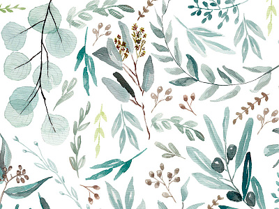 Eucalyptus original watercolor botanic botanical leaves nature pattern watercolor