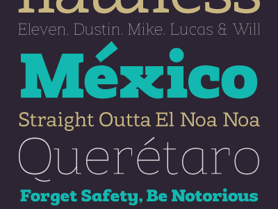 Fernanda Slab font slab slabserif tipografia type typography