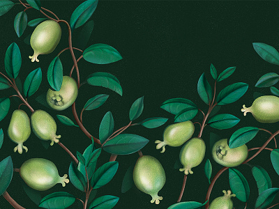 Feijoa feijoa leafs pattern sellowian