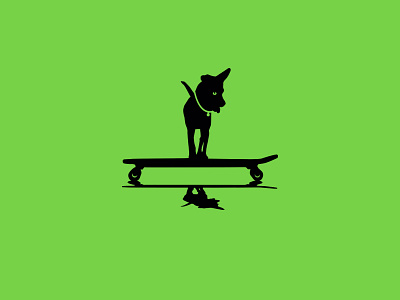 Cooper the Dog cooper the dog dog skateboard skater