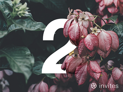 2 Dribbble Invites competition dribbble dribbble invites flowers invite invites