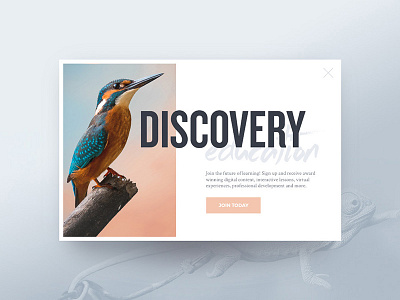 DiscoveryEd discovery education form join