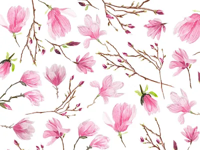 Magnolias botanic floral flowers nature pattern pink spring