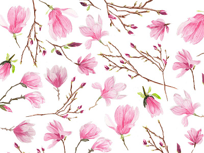 Magnolias botanic floral flowers nature pattern pink spring
