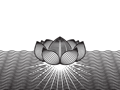 Water lily blackandwhite flower lily logo optic