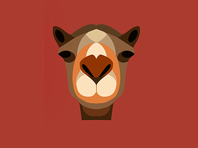 Camel Illustration animal camel design illustration