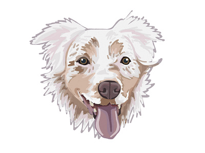 Pet Portraits - Maddie digital illustration pet portraits