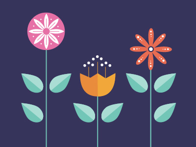 Flower Study flowers illustration vector