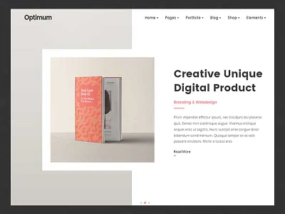 Work Showcase Carousel from Optimum WordPress Theme carousel home page homepage photography responsive ui work showcase
