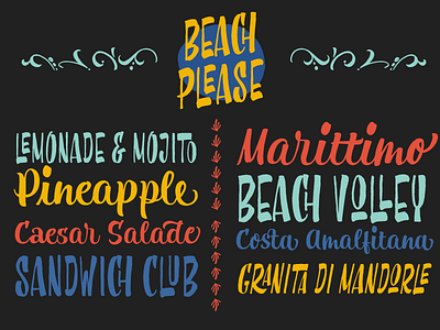 Beach Please Font on negative beach brush script type