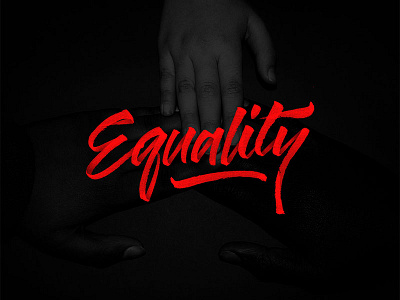 Equality brush brush pen calligraphy equality font hand lettering logo pride type typography vector