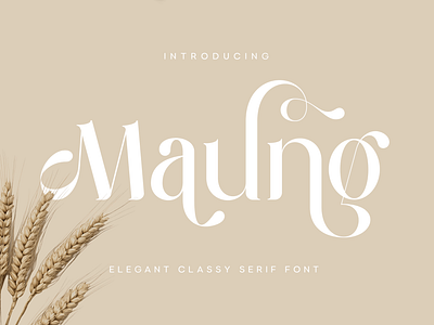 💫 Maung – The Essence of Elegance & Class aesthetic branding classy editorial elegant fashion high end branding logo font luxury maung font modern serif premium sensatype serif font stylish timeless typography