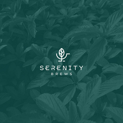 Serenity Brew: A Minimalist Logo Design Inspired by Nature brand identity branding creative design design logo graphic design icon illustration logo logo design logo inspiration logo maker logo mark logos logotype minimalist modern simple timeless unique