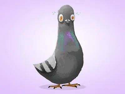Pigeon Character 2d character drawing illustration pigeon