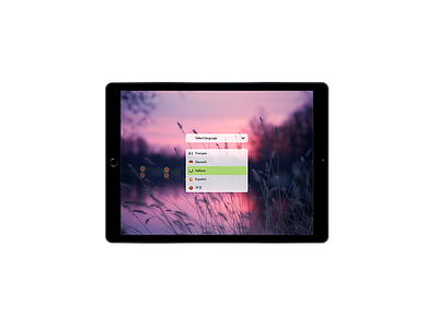 Daily UI Challenge challenge daily dailyui design dropdown photoshop ui