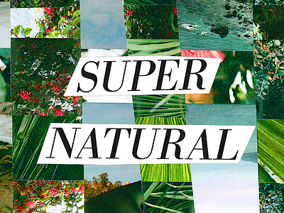Series Key Art (cut) collage montage type typography