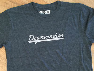 Downwinders Prone Paddleboards Logo downwinders eastside logo paddle board prone paddle boards santa cruz surf surfboards