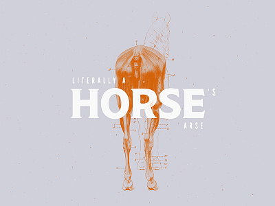 Horse's Arse animal behance color duotone illustration minimalist photoshop skeleton trend typography vintage