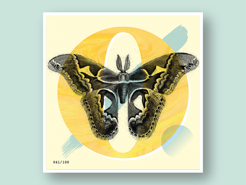 041/100: Itzpapalotl | Obsidian Butterfly by Libbie Bischoff on