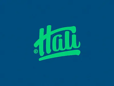 Hali Toys aqua bath hali identity logo naming toys