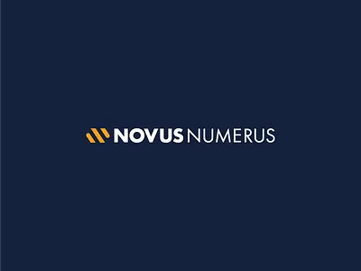 Novus Numerus Logo audit genius color awesome clever smart idea iconic logo identity designer vilnius logos logotype infinity icon mark monogram creative minimal modern wordmark simple pixel corporate brand symbol branding web perfect trademark good best