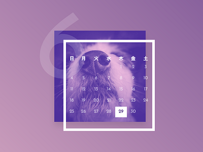 Duotone Calendar calendar duotone htmlcss