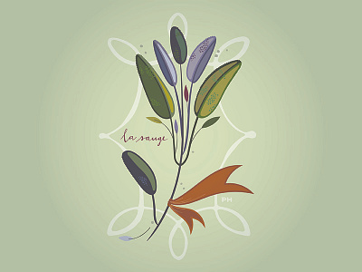 French Cards: La Sauge handlettering herb illustration paula hanna poppyseed sage