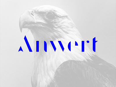 Anwert Logotype agency logo logotype