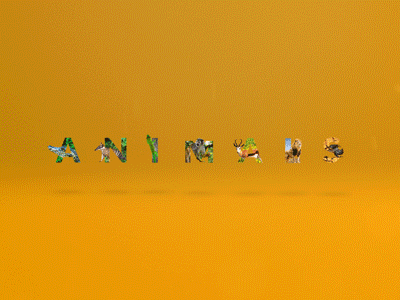 Animals letters 2d animation flat gif graphics illustration letters motion word