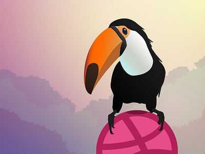 First Shot debut illustration rainbow toucan