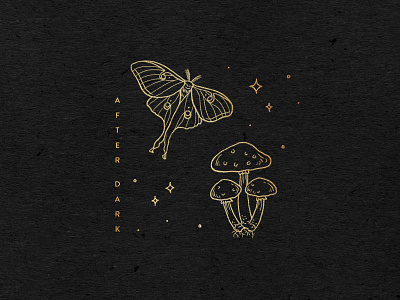 After Dark forest hand drawn illustration line magic midnight minimal moth mushroom nature stars tattoo