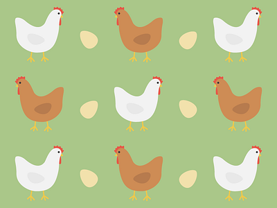 Chickens chicken egg