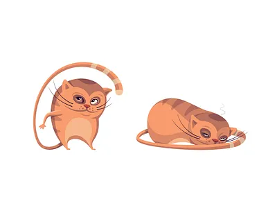 Kat cartoon cat character illustration vector