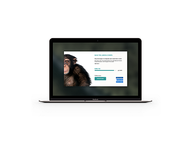 Daily UI Challenge daily crowdfunding daily ui dailyui ux design photoshop