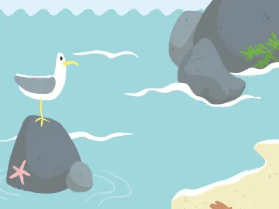 Mouette illustration