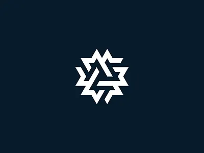 Spark app brand company design icon logo service snowflake spark star