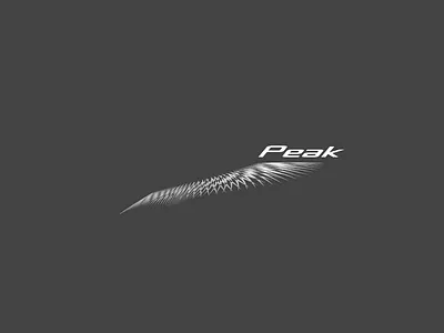 Peak gray logo minimal peak stripes