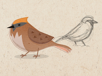 Spectacular Sparrow: Special Edition art illustration sketches sparrows story storybook writing