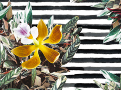 Tropical Pattern 1 flower folhagem foliage greenery leaf plant tropical