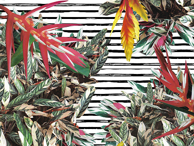 Tropical Pattern 2 flowers foliage greenery leaf pattern stripes tropical