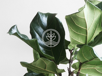 Tree logo icon leaf logomark tree